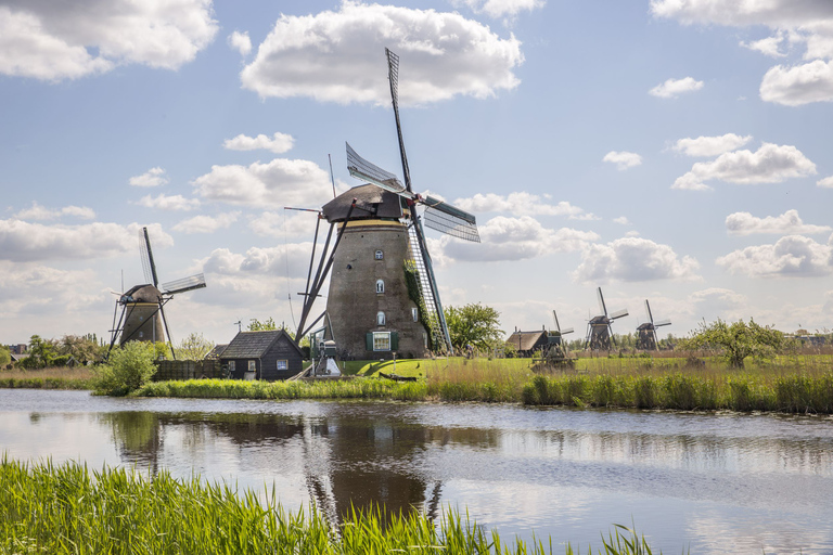 Rotterdam: Bilet na autobus wodny do Kinderdijk i Dordrecht