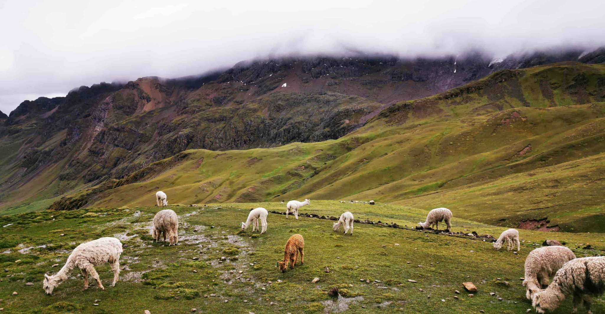 Van Cusco, Geleide Rainbow Mountain Trip met Vervoer - Hizvo