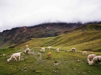 De Cusco, Voyage guidé de montagne arc-en-ciel avec transport - Hizvo