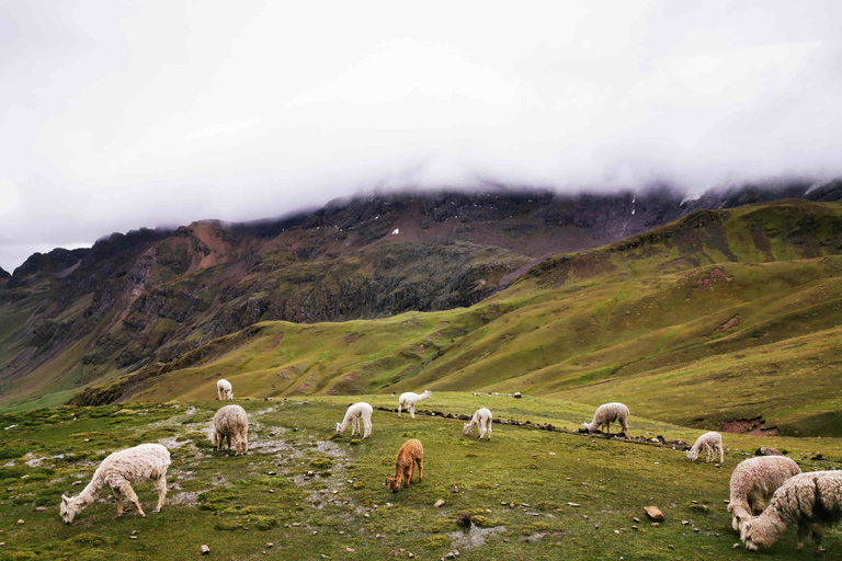 Ausflug zum Regenbogenberg von Cusco aus.Von Cusco aus: Exkursion zum Regenbogenberg.