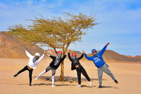 Hurghada: Sahara Desert Quad Tour Beduin Town & Camel Ride