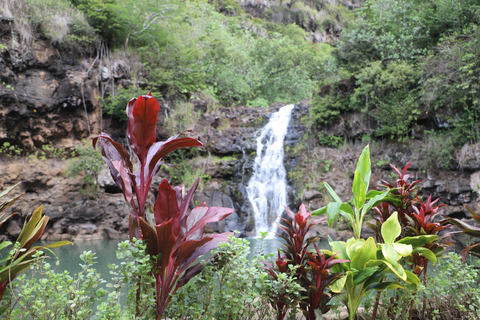 Oahu: Nado y Caminata por el Valle de las Cascadas de Waimea con Comida y DoleOahu Waimea Falls Senderismo y Natación