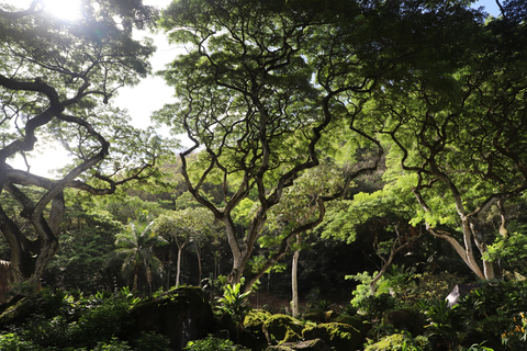 Oahu: Nado y Caminata por el Valle de las Cascadas de Waimea con Comida y DoleOahu Waimea Falls Senderismo y Natación