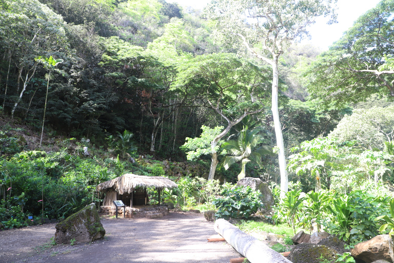 Oahu: Nado y Caminata por el Valle de las Cascadas de Waimea con Comida y DoleOahu Waimea Falls Senderismo y Natación