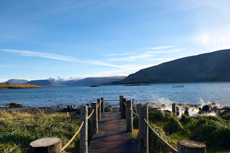 Reykjavik : Visite privée de Hvalfjordur et des sources thermales de Hvammsvik