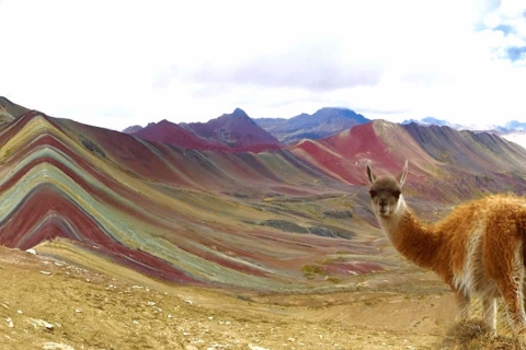 Von Cusco aus: Berg der sieben Farben 2-Tage-1-Nacht-Tour