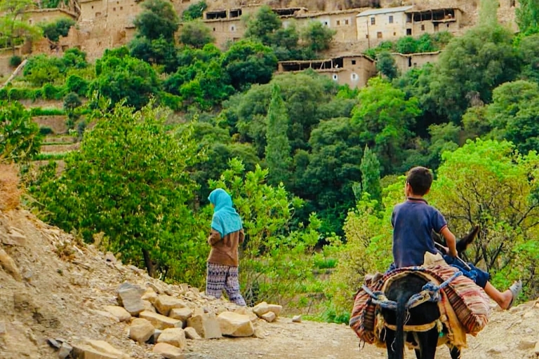 Z Marrakeszu: jednodniowa wycieczka w góry Atlas i Berber Village