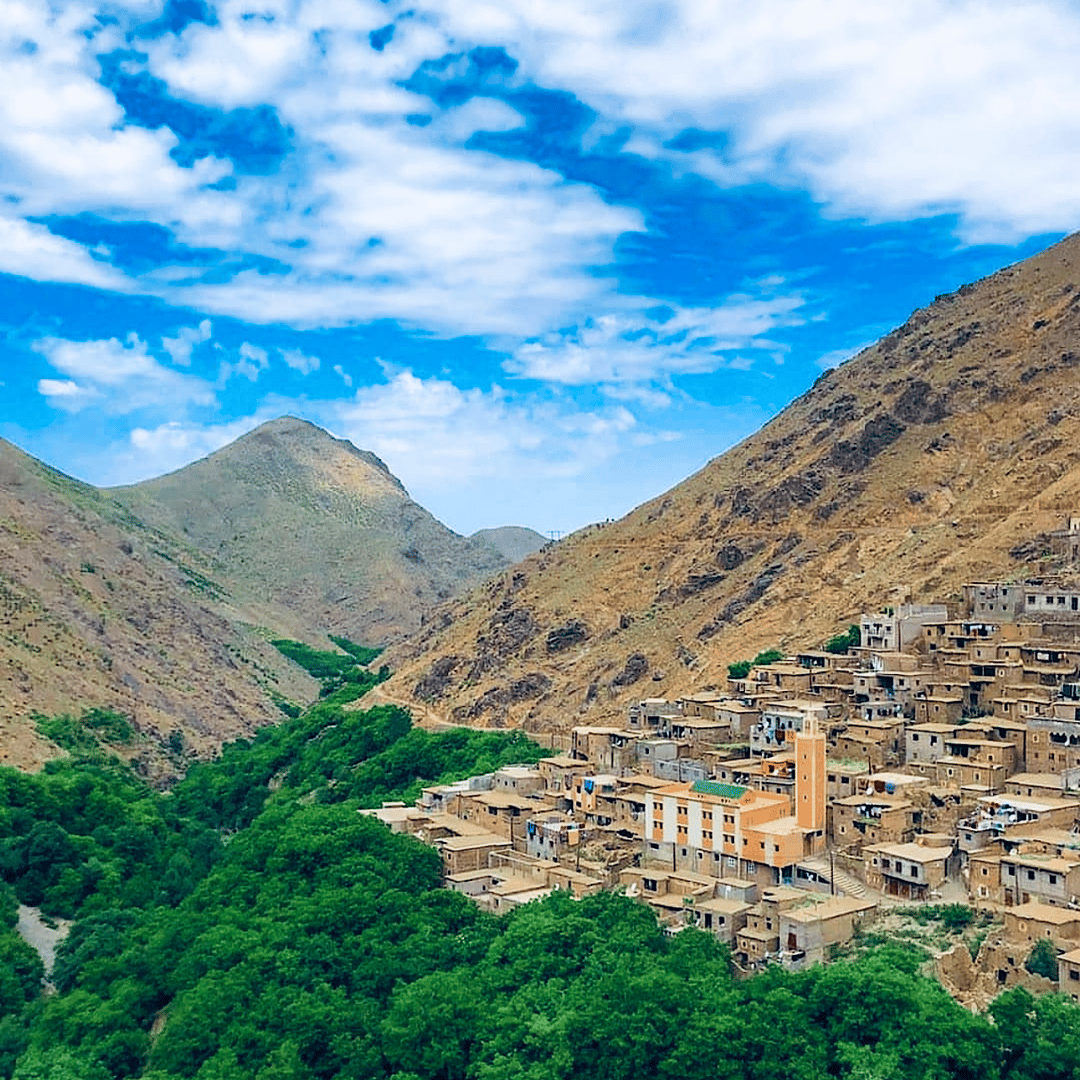 Depuis Marrakech : excursion d'une journée dans l'Atlas et un village berbère - trekking