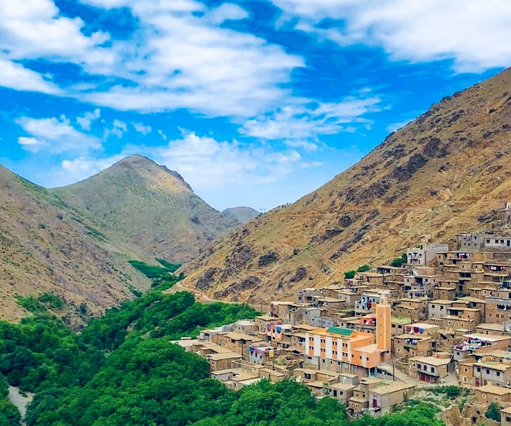 From Marrakech: Atlas Mountains and Berber Village Day Trip