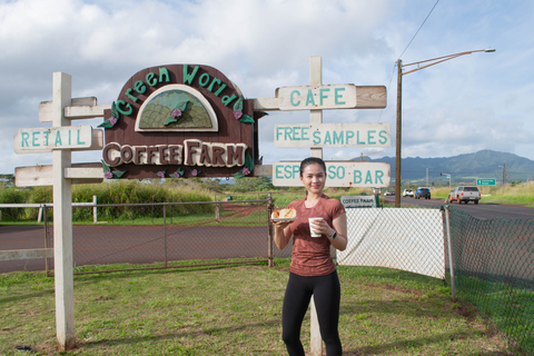 Oahu: Nado y Caminata por el Valle de las Cascadas de Waimea con Comida y DoleOahu Waimea Falls Senderismo y Natación