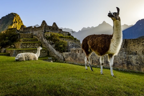 Desde Cusco: Full day Machu Picchu todo incluido Desde Cusco: Santuario Historico Machu Picchu todo incluido