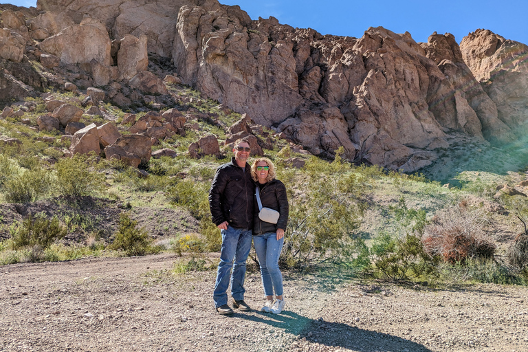 Las Vegas : Eldorado Canyon : visite guidée d'une demi-journée en ATV/UTVVisite d'une demi-journée du canyon d'Eldorado en quad monoplace