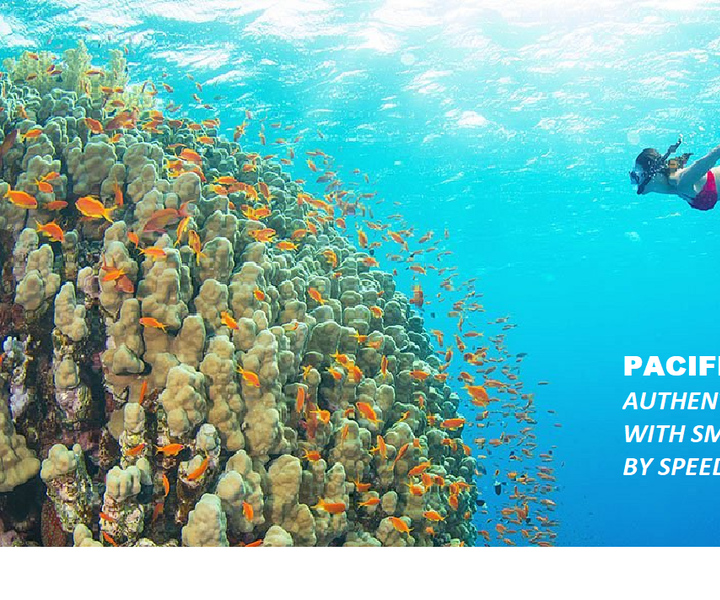 Nha Trang-Private snorkel tour & island hopping by Speedboat