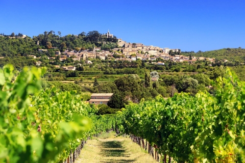 Châteauneuf du Pape Wine Tour Jednodniowa wycieczka z Aix en Provence