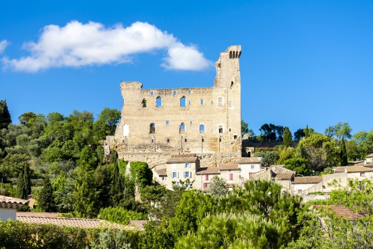 Excursion d'une journée à Châteauneuf du Pape au départ d'Aix en Provence