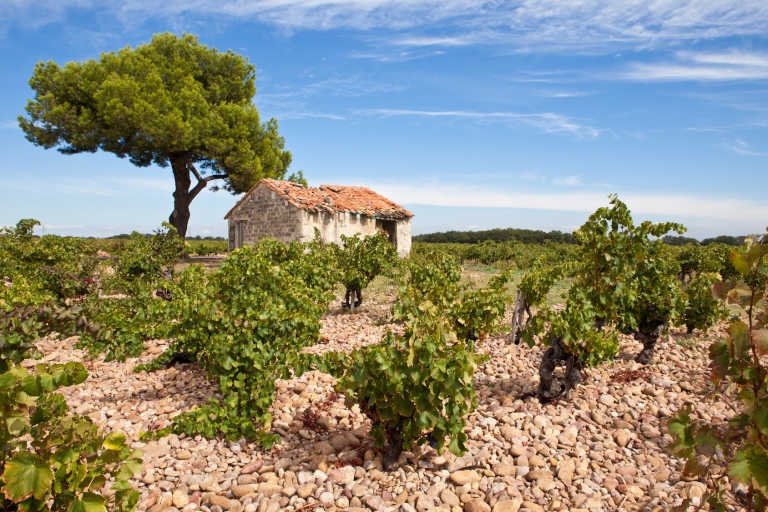 Châteauneuf du Pape Wine Tour Jednodniowa wycieczka z Aix en Provence