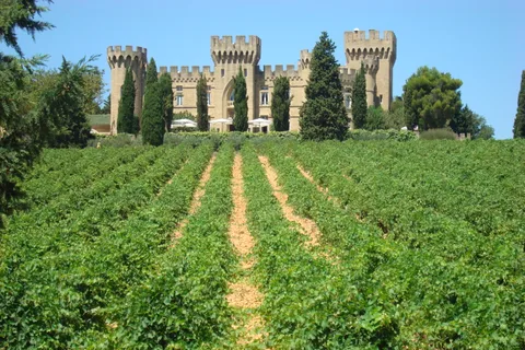 Da Aix-en-Provence: gita di un giorno alle cantine di Châteauneuf du Pape