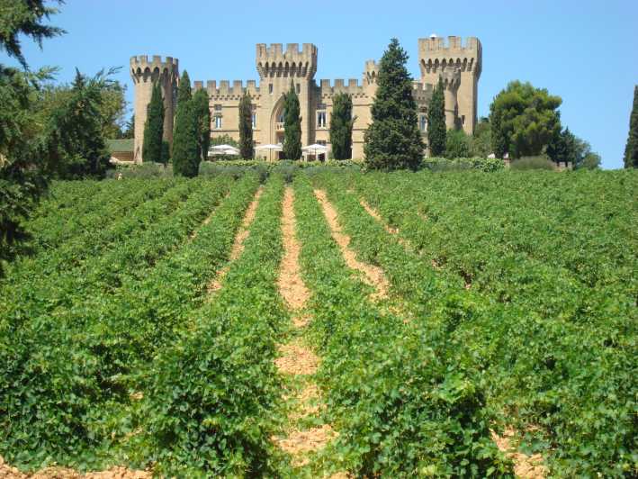 De Aix-en-Provence: viagem diurna às vinícolas Châteauneuf du Pape