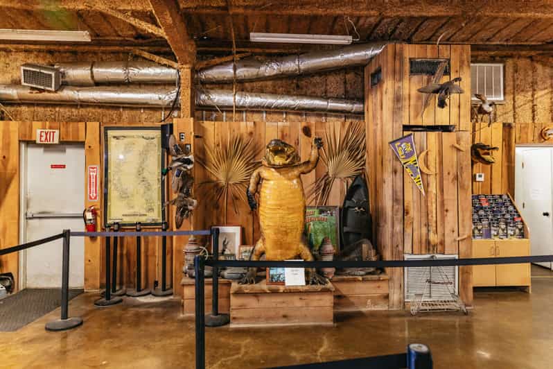 New Orleans Moeras & Bayouboottocht GetYourGuide