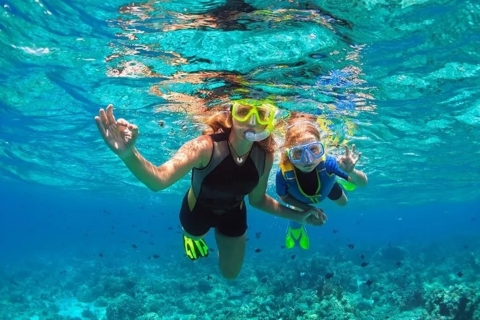 Mascate: Experiencia de 3 horas de snorkel y avistamiento de delfines