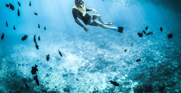 Muscat: Dolphin Watching & Snorkeling with GoPro