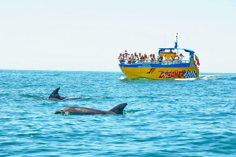 Muscat: Snorkeling and Dolphin Watching Tour