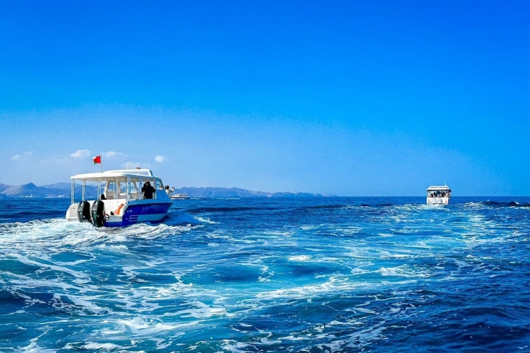 Muscat: 3 Hour Snorkeling and Dolphin Watching Experience