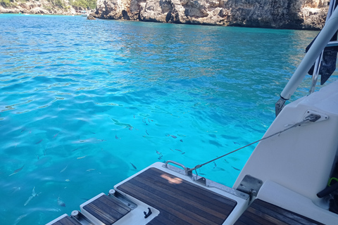 Maiorca: passeio de barco em Cala Vella com natação, comida e bebidasMaiorca: passeio de barco com natação, comida e bebidas