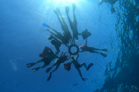 Cancún: snorkelen in MUSA en bij Manchones