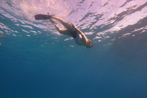 Cancún: snorkelen in MUSA en bij Manchones