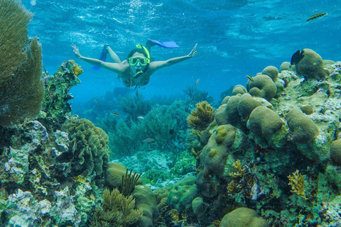 Cancún: snorkelen in MUSA en bij Manchones