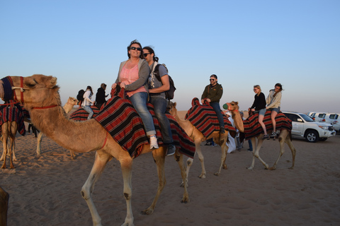 Dubai: Kvällstur med fyrhjuling, kamelridning och BBQ