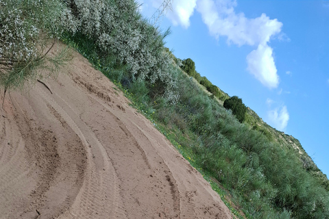 Hammamet: Guided quad tour through the Hammamet hinterland - quad riding Hammamet: Quad riding / Quad tour through the Hammamet hinterland