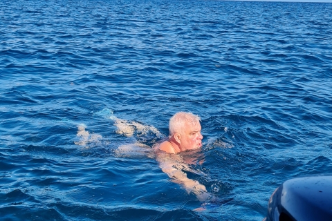 Delfine schwimmen mit dir - ein wunderbares Erlebnis