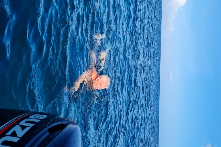 Dolfijnen zwemmen met je mee - een geweldige ervaring