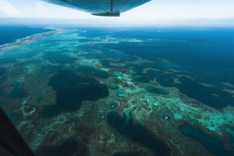 Geraldton Excursão De Meio Dia Ao Lago Rosa E Abrolhos De Avião 