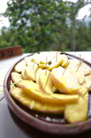 Croydon Plantation Organic Farm Tour con pranzo - Housity