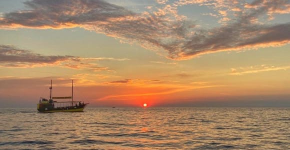Vrsar: Delfinbeobachtungstour mit Getränken Vrsar: Delfinbeobachtungstour mit Getränken