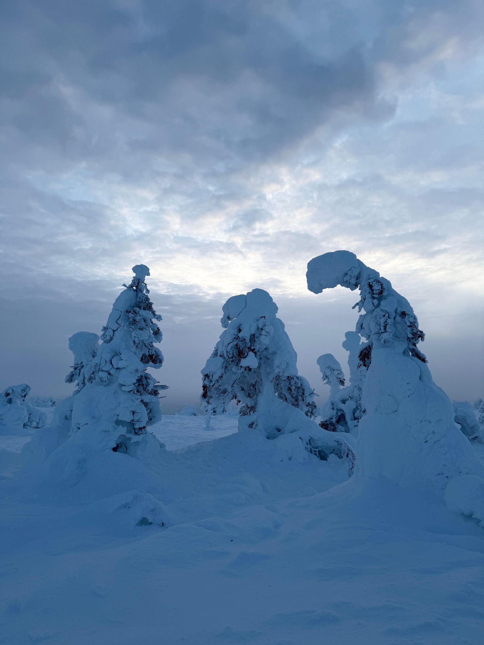 Rovaniemi: Tour im Riisitunturi-Nationalpark mit Fotos & Barbecue