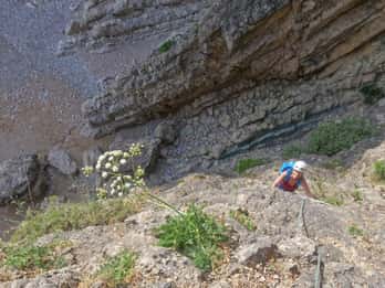Lisboa o Sesimbra: Excursión guiada de Escalada en Arrábida