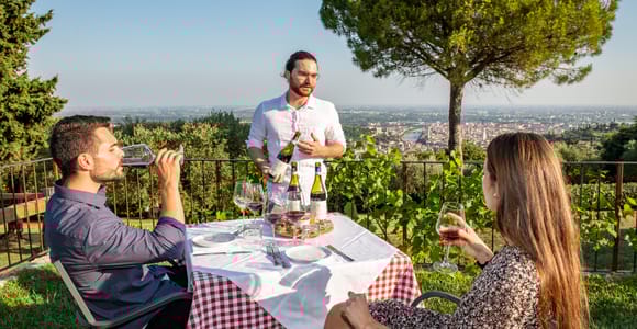 Verona: Weinverkostung mit Snacks und Panoramablick auf die Stadt