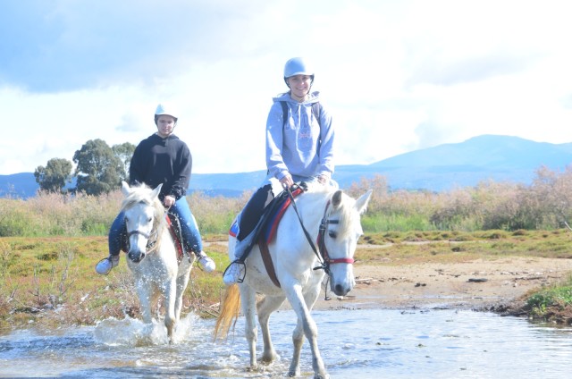 Visit Kusadasi Beach and Forest Horse Riding Tour in Kusadasi