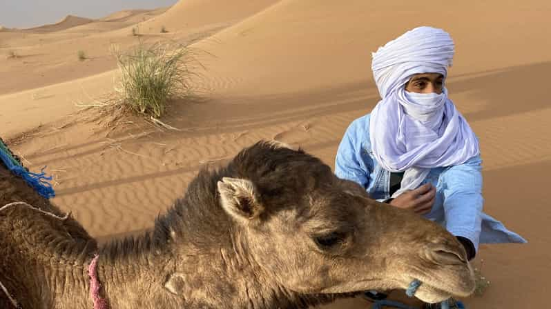 Essential Tips for a Budget-Friendly Camel Trekking Experience