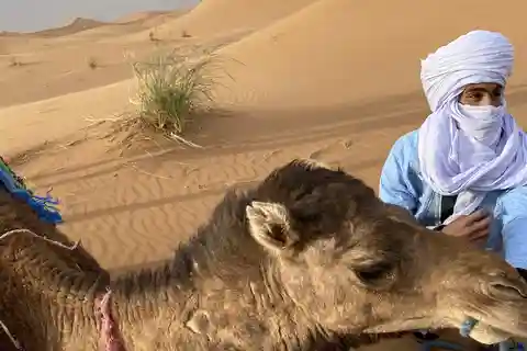 3 dias de passeio de camelo no deserto de Marrocos