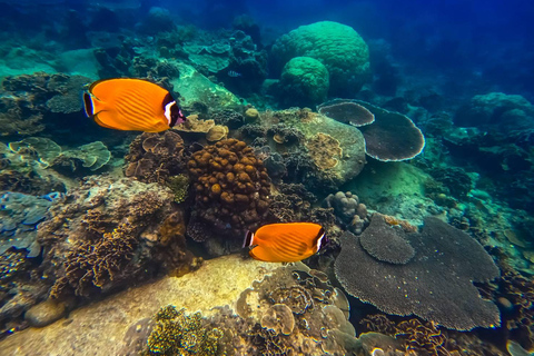 Koh Tao: Koh Nangyuan & Hidden Bays Snorkeling Tour w/ Lunch