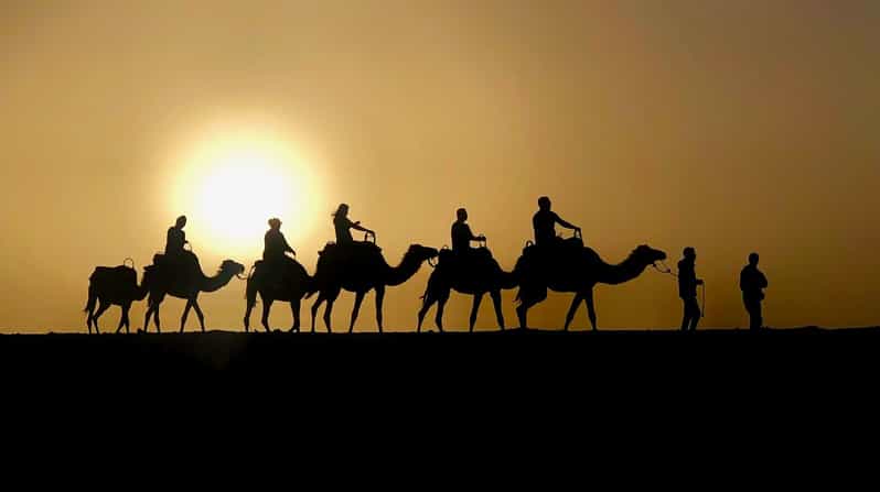 Marrakech : Quad et chameau avec dîner-spectacle et coucher de soleil - quad