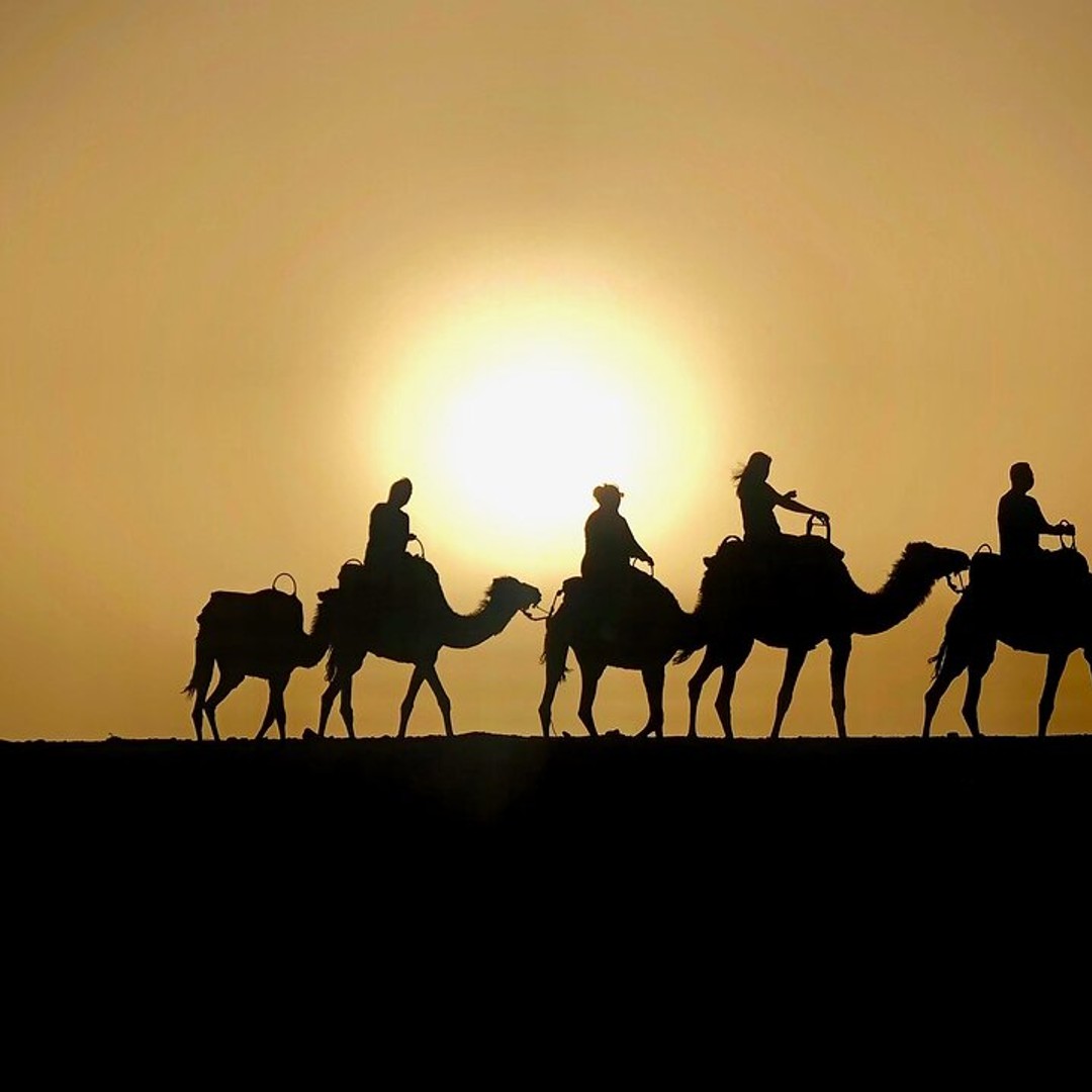 Marrakech : Quad et chameau avec dîner-spectacle et coucher de soleil - quad
