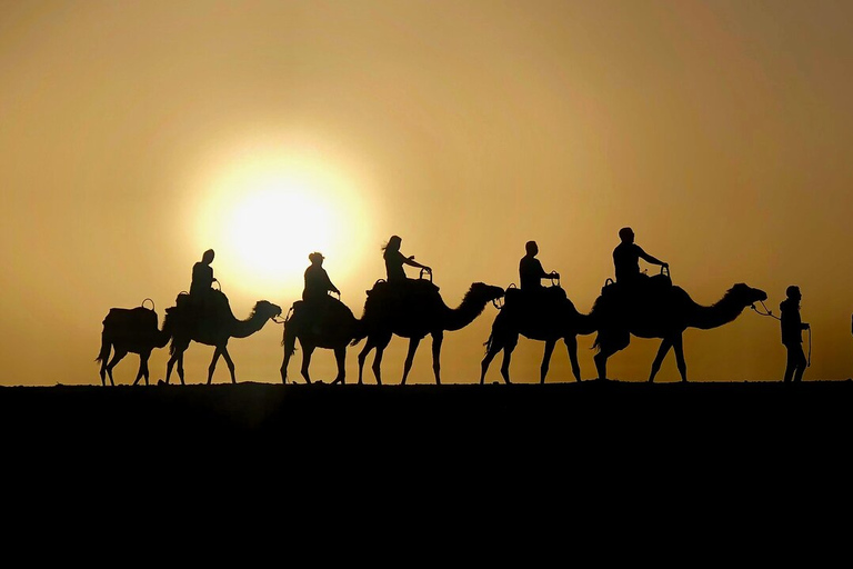 Marrakech: ATV & Camel with sunset & dinner show Quad bike & camel ride and dinner show