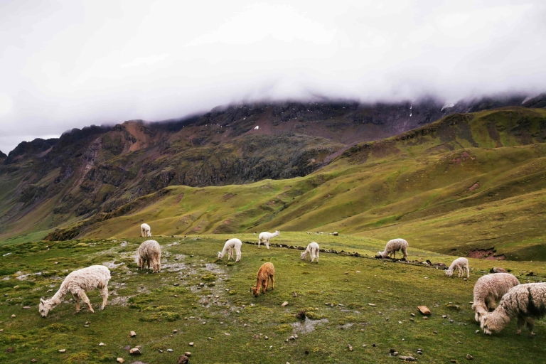 Von Cusco aus: Montaña de 7 colores en Cuatrimotos