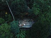 ウブド、テガランライステラスの写真ツアーでスイングチケット - Housity